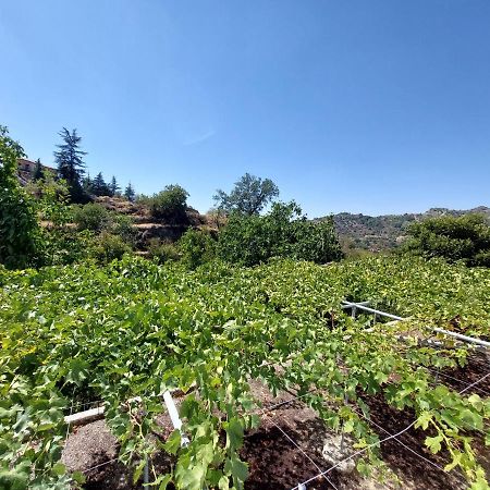 Agros Green Valley Suites 利马索尔 外观 照片