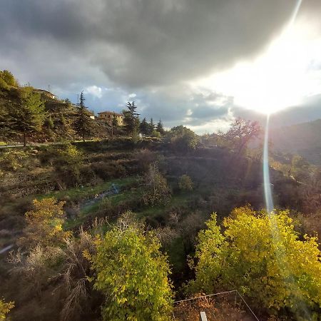 Agros Green Valley Suites 利马索尔 外观 照片