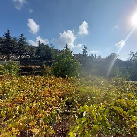 Agros Green Valley Suites 利马索尔 外观 照片