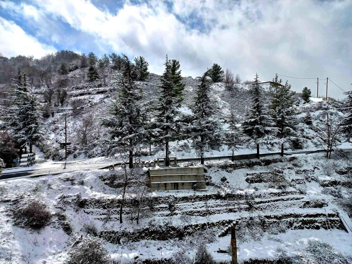 Agros Green Valley Suites 利马索尔 外观 照片