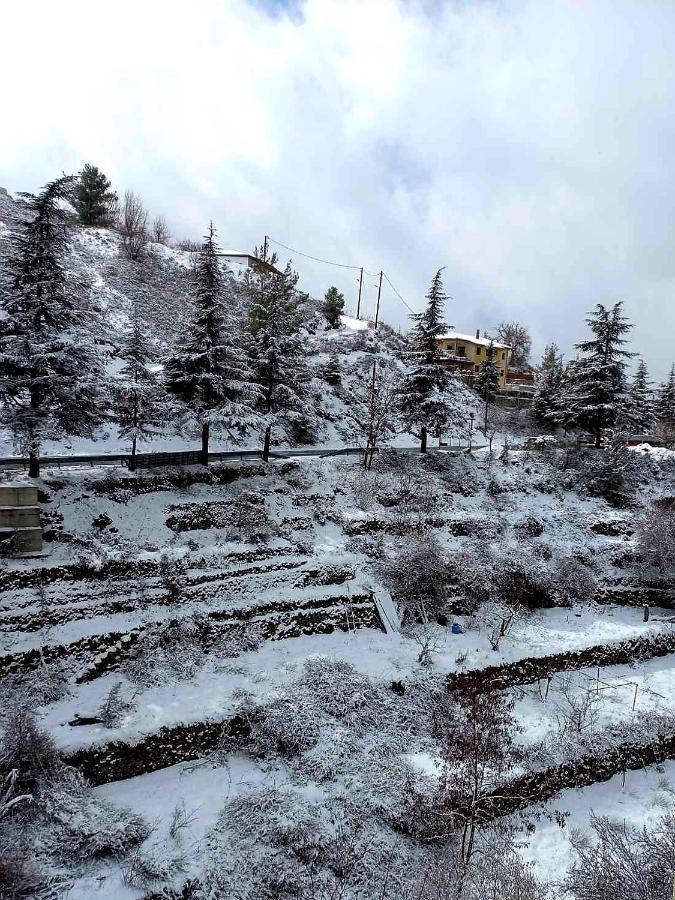 Agros Green Valley Suites 利马索尔 外观 照片