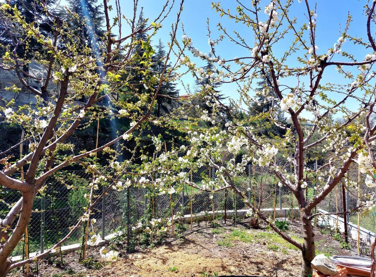 Agros Green Valley Suites 利马索尔 外观 照片