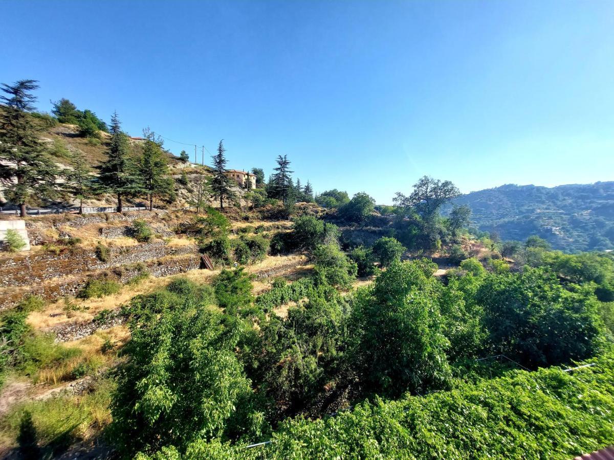 Agros Green Valley Suites 利马索尔 外观 照片