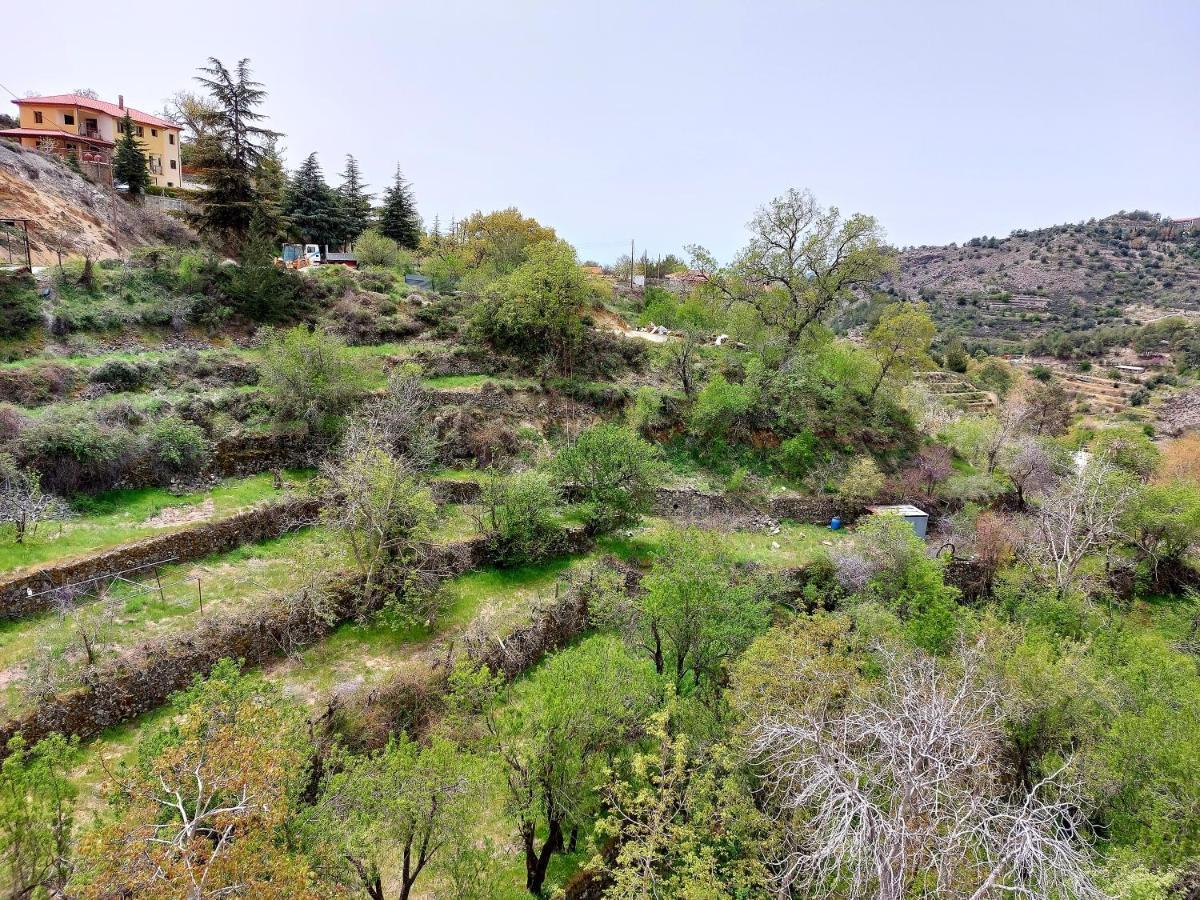 Agros Green Valley Suites 利马索尔 外观 照片