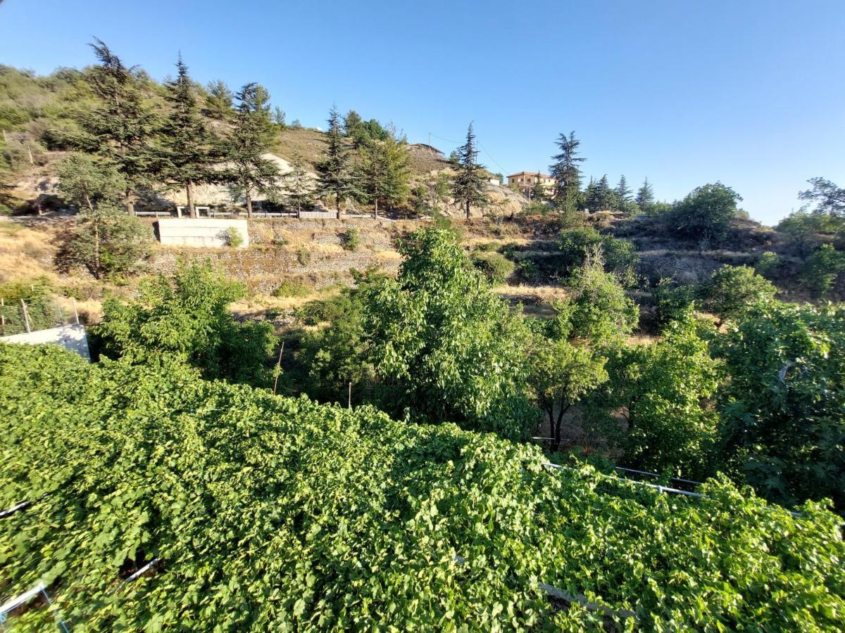 Agros Green Valley Suites 利马索尔 外观 照片
