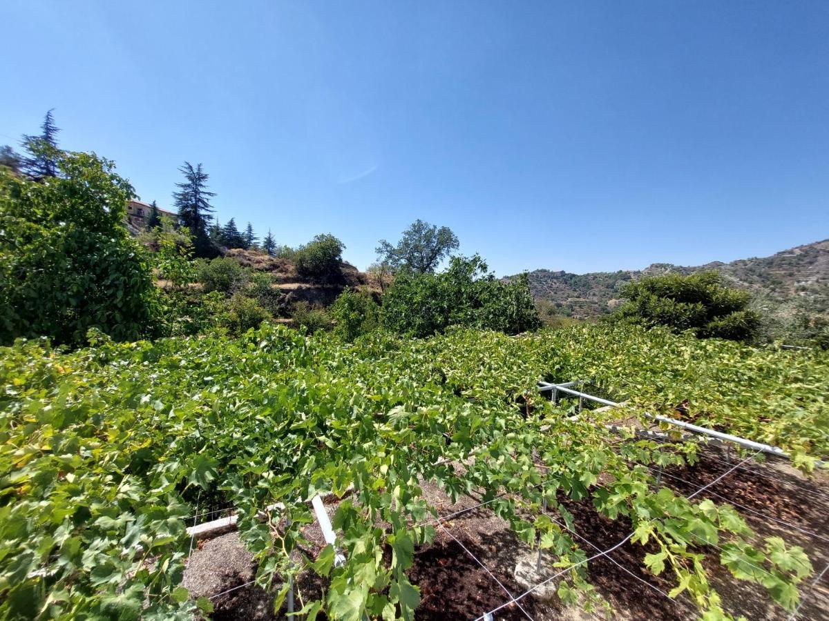 Agros Green Valley Suites 利马索尔 外观 照片