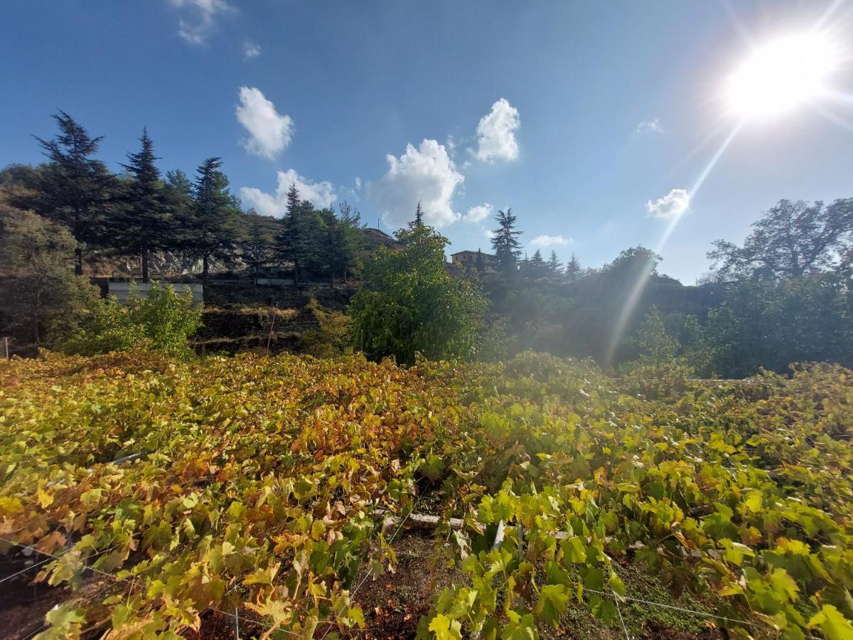 Agros Green Valley Suites 利马索尔 外观 照片